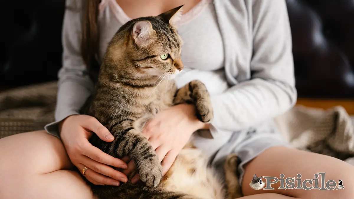 Schwangere Frau mit Katze