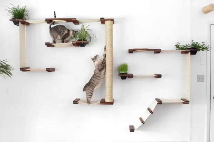 Ansamblu de perete, loc de joaca pentru pisici. 