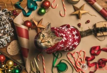 Funny Christmas messages with cats